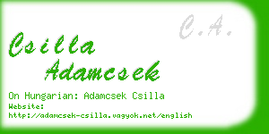 csilla adamcsek business card